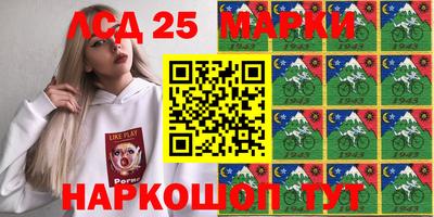 стаф Кимры