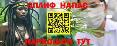 стаф Кимры