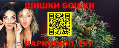 гидропоника Кингисепп