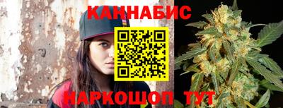стаф Кимры