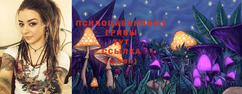 Псилоцибиновые грибы Magic Shrooms  Омск 