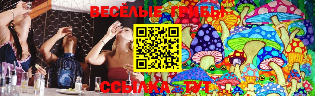 Галлюциногенные грибы мухоморы  Псилоцибиновые грибы Psilocybe  Омск  Вход с VPN 