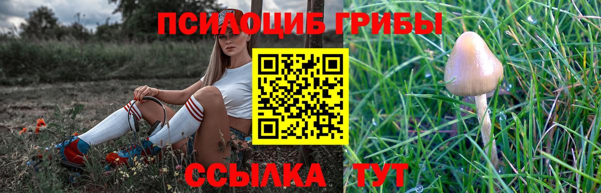 Галлюциногенные грибы Cubensis Омск
